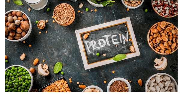 proteins for balanced diet