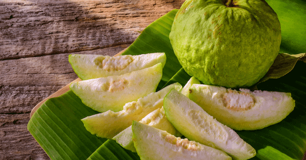 guava improves immunity