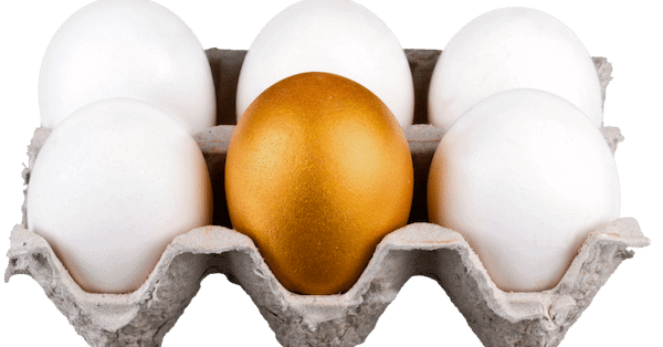 Egg nutrition and proteins