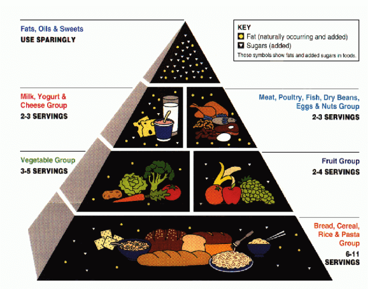 Food pyramid USDA