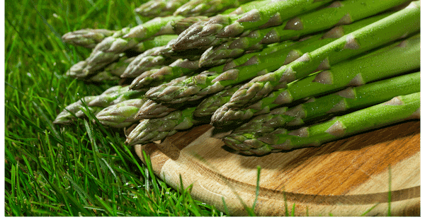 Asparagus-nutrition