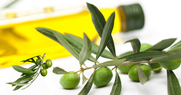 Olive-Nutrition