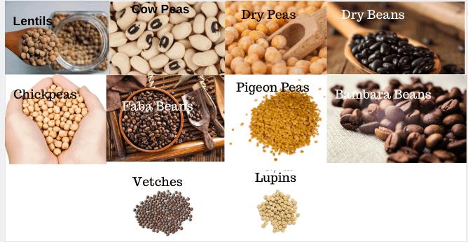 Pulses and its types