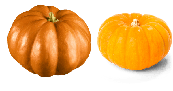 Pumpkin-Nutrition