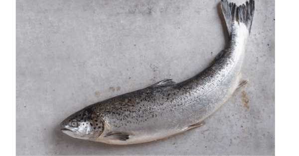 salmon-health-benefits